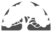 fashioncabinet.com icon