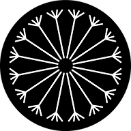 fasttrackimpact.com logo