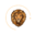 fcssh.com icon