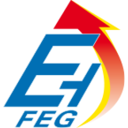 feg-deutschland.de icon