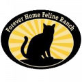 felineranch.org icon