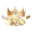 fen-nederland.nl icon