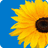 ferienunterkunft-direkt.de icon