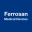 ferrosanmedicaldevices.com icon
