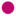 fesh.store icon