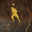 festival-mediaval.com icon