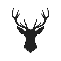 festivestudio.co.uk icon