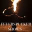 feuershows-buchen.de icon