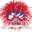 feuxdartifices-unic.com icon