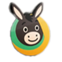 fgdsmt.com icon