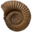 fgsub.de icon