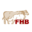 fhb-bonn.de icon