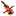 fiddlehed.com icon