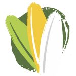 fiestanacionaldelarroz.com icon