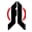fightlite.com icon