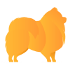 filipesmedia.cz icon