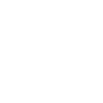 final-rep.com icon