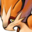 finaland.com icon