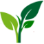 finanz-jobs.net icon