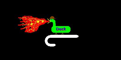 fireduck.com icon