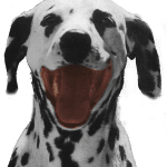 firemarque.com icon