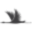 Fire Ridge Golf Club logo