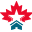 firptacanada.ca icon