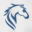 firstfreight.co.bw logo