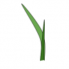 firstleafcapital.com icon