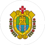fiscaliaveracruz.gob.mx icon