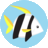 fishforums.net logo