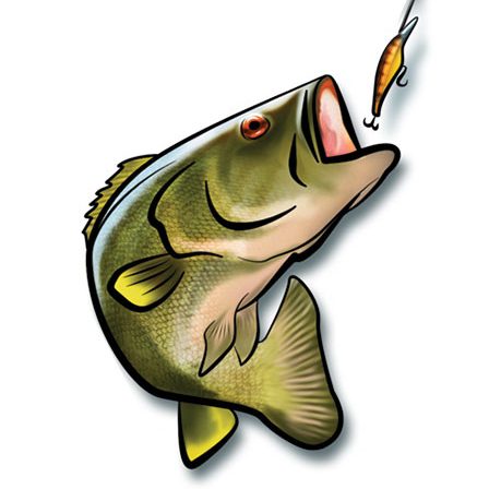 fishvirginiafirst.com icon