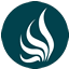 fisioterapia-online.com icon
