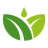fitoagricola.es icon