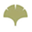 fitoterapia.net icon