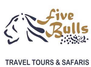 fivebulls.biz icon