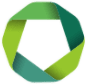 fivelakespro.com icon
