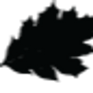 fivestarretreat.com icon