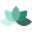 fiziognomika.lt icon