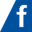 flagprint.ch icon