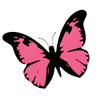 Flair Beauty College official logo