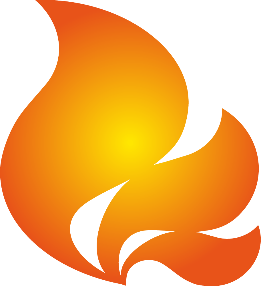 flameritefires.com icon