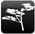 flamingocostarica.com icon