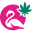 flamingoplus.ca icon