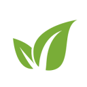 flashburne.com icon