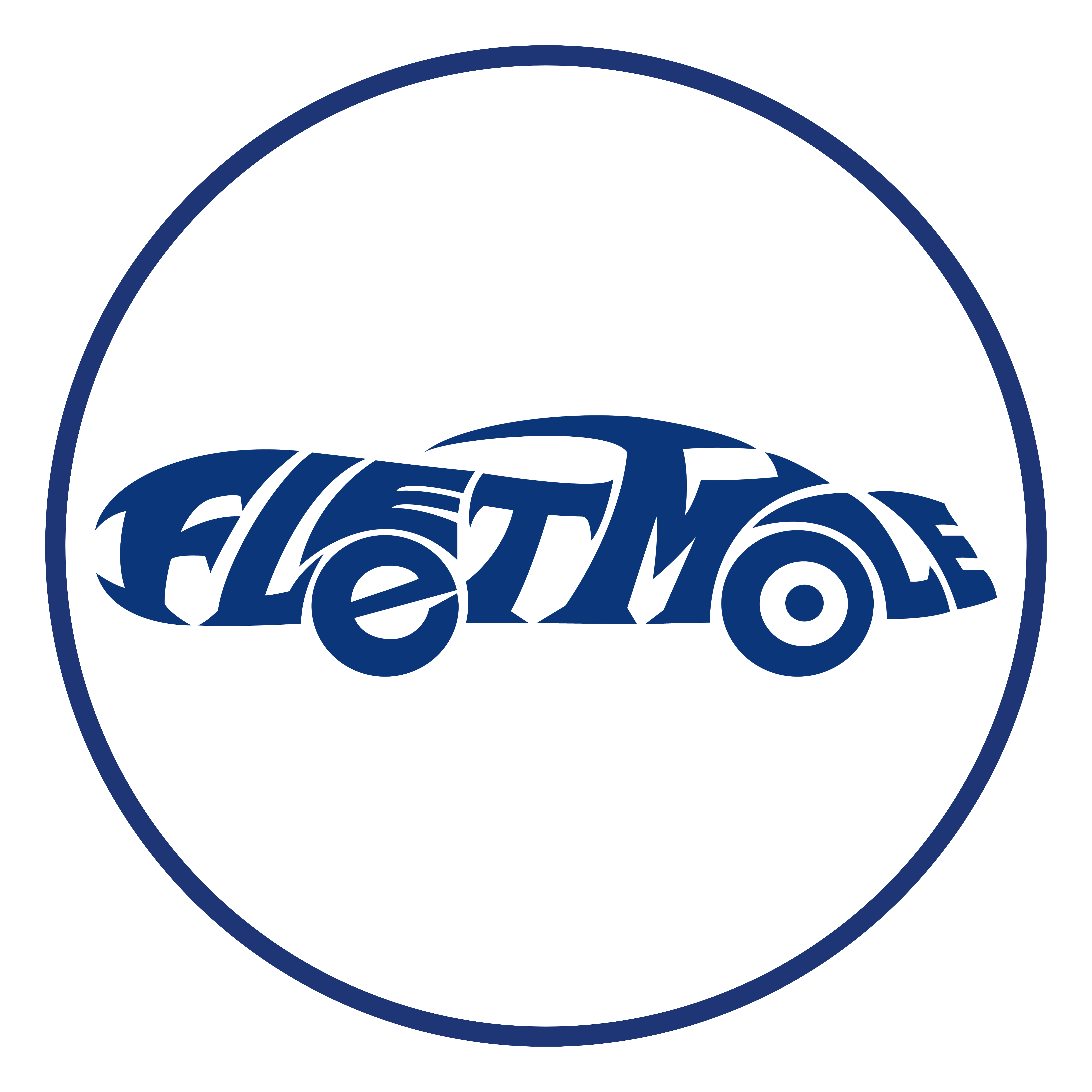 fleetmole.com icon