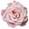 fleursdevilles.com icon