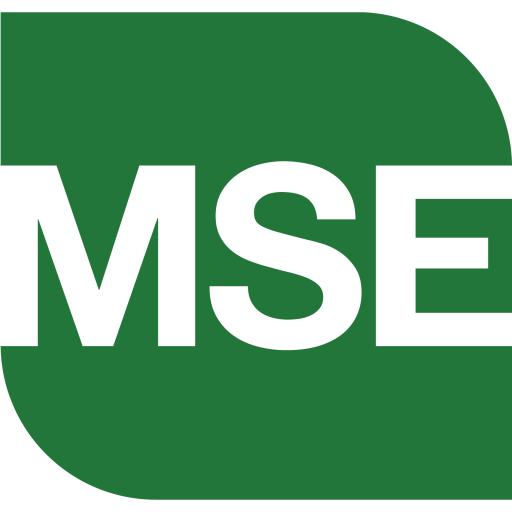 flexmse.com icon