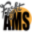 flightamss.com icon