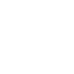 flightlevel.pl icon